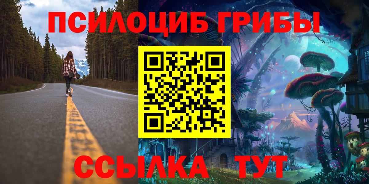 Галлюциногенные грибы Psilocybine cubensis Майский