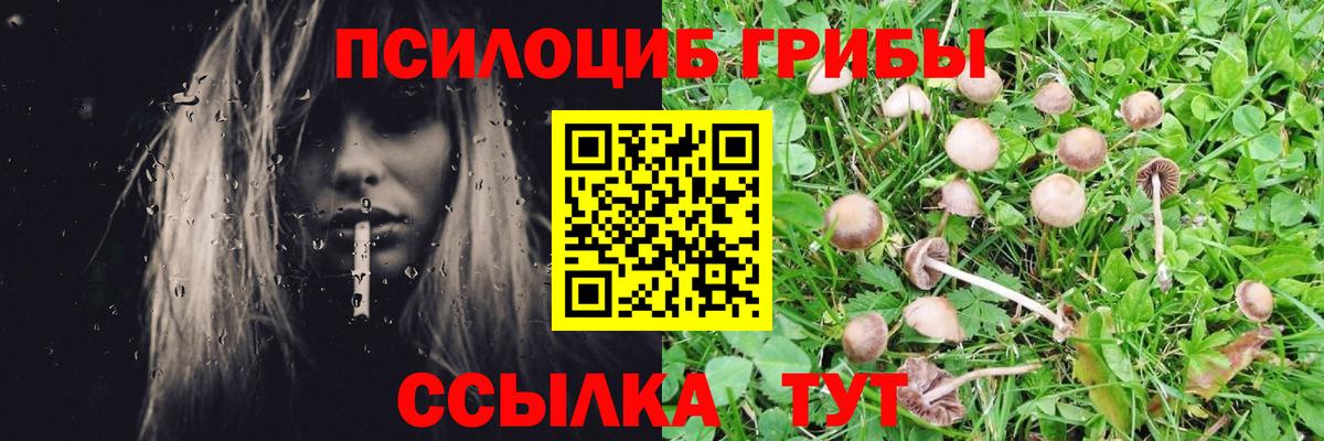 Марихуана  Вход с VPN  ГАШИШ  Наркошоп  Майский  Мефедрон  